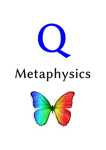 The book cover for Q Metaphysics.